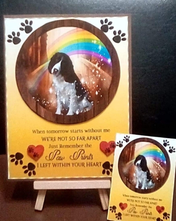 Pet loss card front 6 by Benita Jenkinson