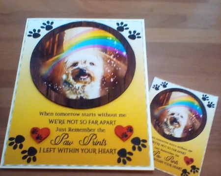 Pet loss card front C by Benita Jenkinson