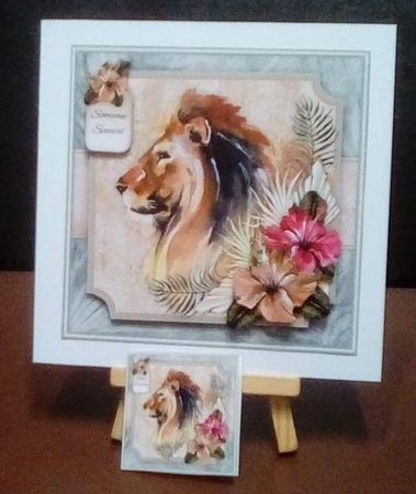 Safari Lion Mini Kit by Benita Jenkinson