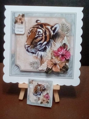 Safari Tiger Mini Kit by Benita Jenkinson