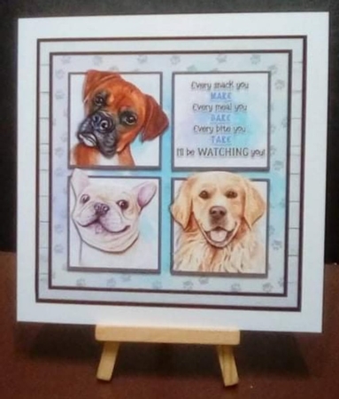WATCHING YOU by Benita Jenkinson