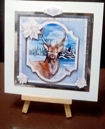 WILD CHRISTMAS - DEER by Benita Jenkinson