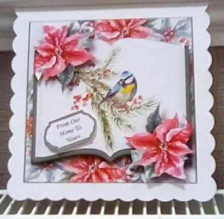 Christmas Open Book - Winter Bird 1 by Benita Jenkinson