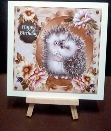 Happy Birthday Little Hedgehog Mini Kit by Benita Jenkinson