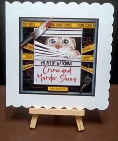SCAREDY CAT mini kit by Benita Jenkinson
