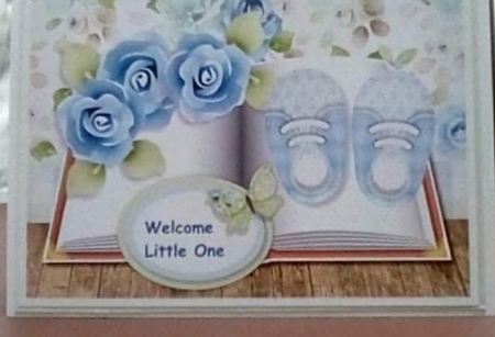 Book baby Boy by Benita Jenkinson