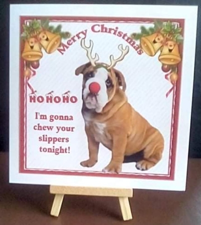 7x7 Reindeer bulldog by Benita Jenkinson