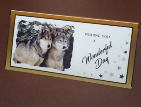 Money wallet Wolves by Benita Jenkinson