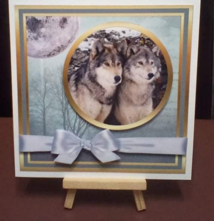 SC Wolves by Benita Jenkinson