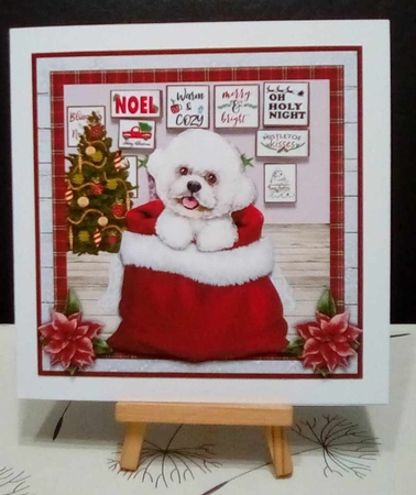 CHRISTMAS BICHON FRISE quick card by Benita Jenkinson