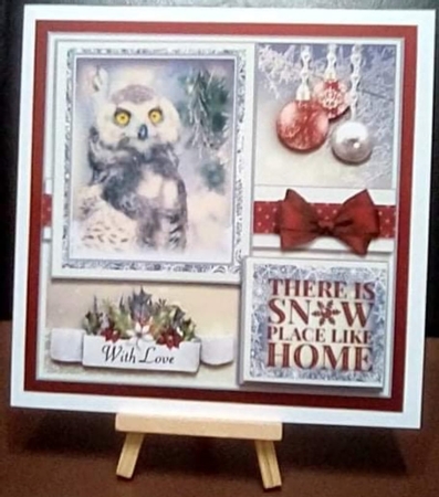 Winter Owl  by Benita Jenkinson