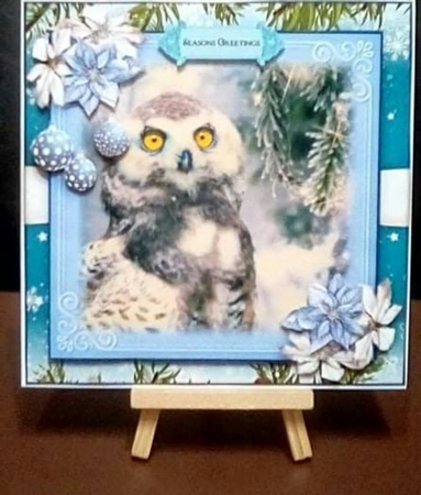 Christmas Owl by Benita Jenkinson