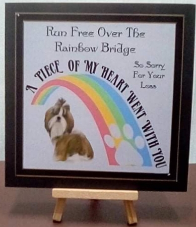 Pet loss over the rainbow bridge Shih Tzu  by Benita Jenkinson
