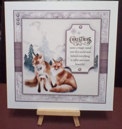Foxes (Plain Request) by Benita Jenkinson