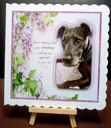 Beautiful Patterdale All Occasions 7 x 7 Card Kit by Benita Jenkinson