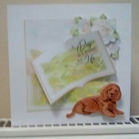 A Dog is a Friend for Life Accessories Kit by Benita Jenkinson