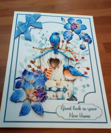 Birds and orchids A5 by Benita Jenkinson