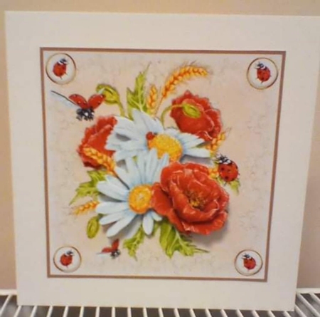Poppies daisies and Ladybirds by Benita Jenkinson