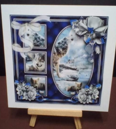 Animal Kingdom 4 Bumper Kit #1  by Benita Jenkinson