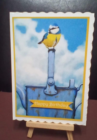 The Joy Of Birds by Benita Jenkinson