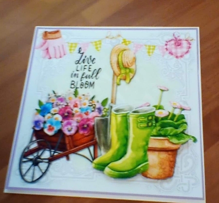 Life in full bloom by Benita Jenkinson
