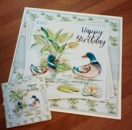 Wild Ducks Mini KIt by Benita Jenkinson