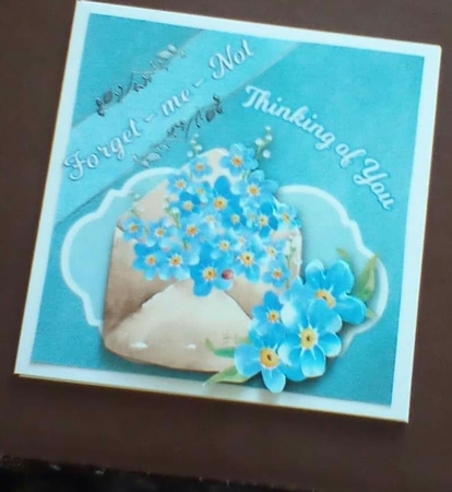 Forget-me-Not by Benita Jenkinson