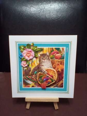 Knitting Kitten by Benita Jenkinson