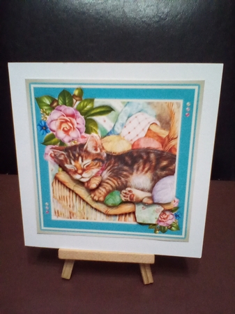 Cat Nap by Benita Jenkinson