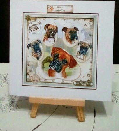 Happiness Has Paws Mini Page Kit  by Benita Jenkinson
