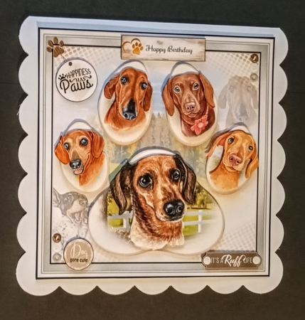 Happiness Has Paws 03 Mini Page Kit  by Benita Jenkinson