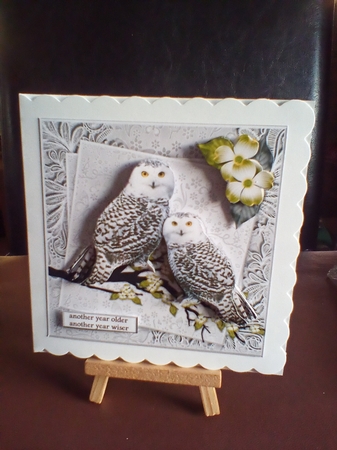 Male card Wise Owls by Benita Jenkinson