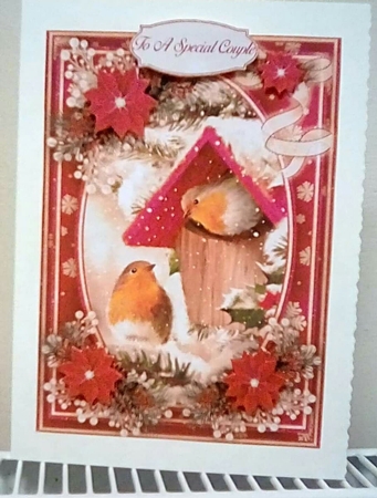 Winter Robins 5X7 Bumper Kit #1 1   by Benita Jenkinson