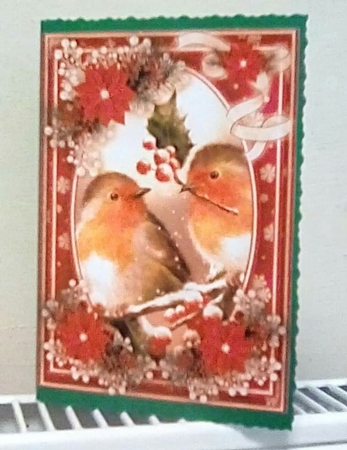 Winter Robins 5X7 Bumper Kit #1 1   by Benita Jenkinson