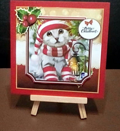 Christmas Cat In Christmas Hat by Benita Jenkinson