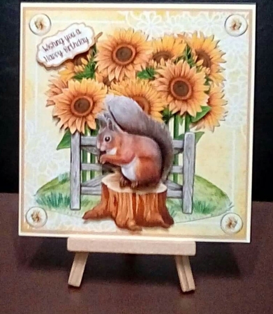 Squirrel and sunflowers by Benita Jenkinson
