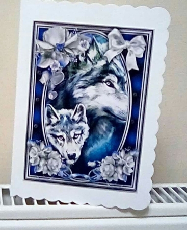 Animal Kingdom 4 5X7  Bumper Kit #1 by Benita Jenkinson