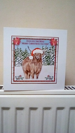 CHRISTMAS MOO by Benita Jenkinson