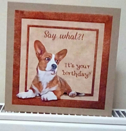 Say What birthday topper by Benita Jenkinson
