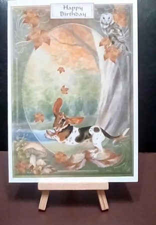 Woodland Walks 1 by Benita Jenkinson