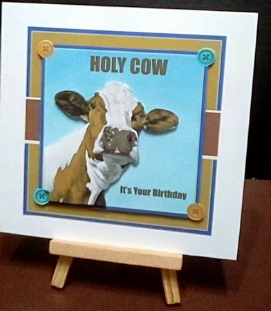 Holy Cow Its Your Birthday by Benita Jenkinson