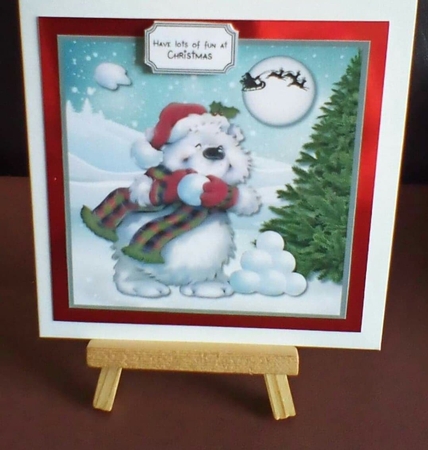 The Snowball Fight by Benita Jenkinson
