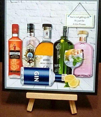 Youre not old its just the A-Gin Process by Benita Jenkinson