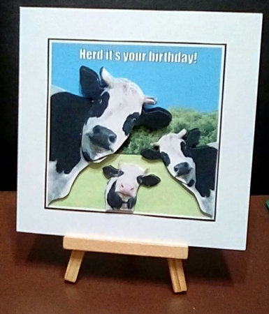Herd  by Benita Jenkinson