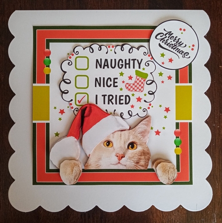 I Tried 2 by Benita Jenkinson