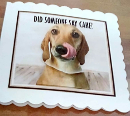 Say Cake? by Benita Jenkinson