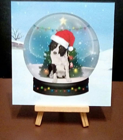Christmas Dog Snowglobes by Benita Jenkinson