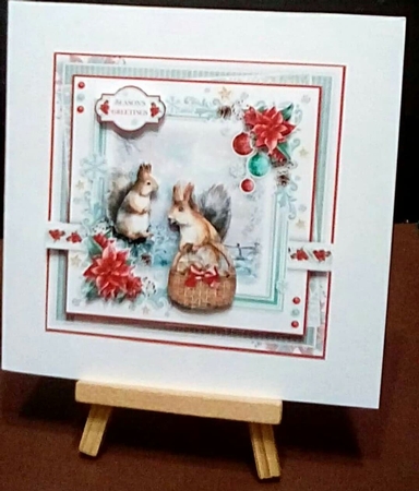 The Festive Squirrels by Benita Jenkinson