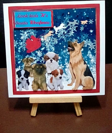 Look Kids its Santa woofmas by Benita Jenkinson