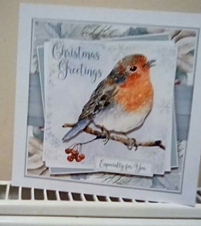 Christmas Robin Collection by Benita Jenkinson